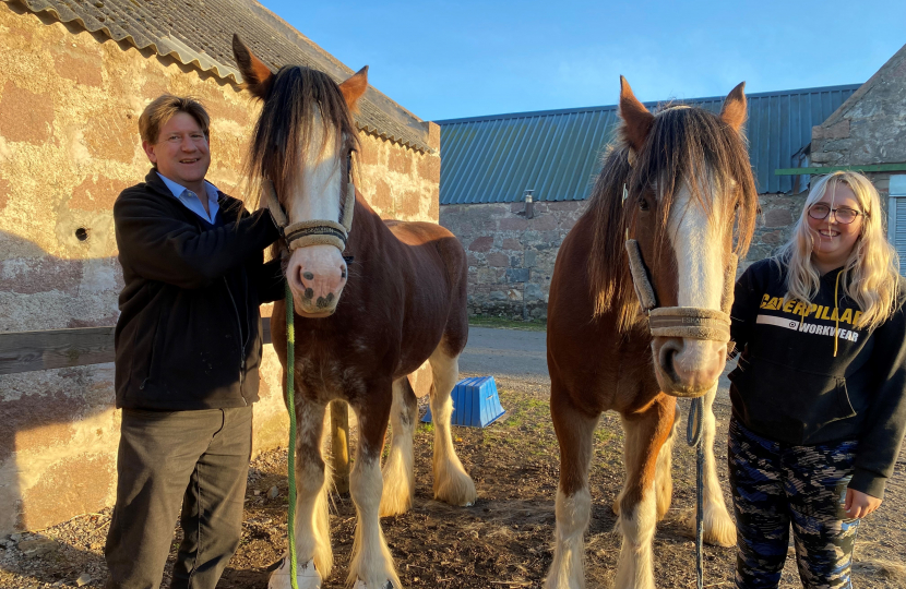 Alex stands with two horses.