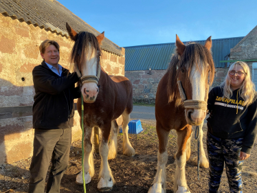 Alex stands with two horses.